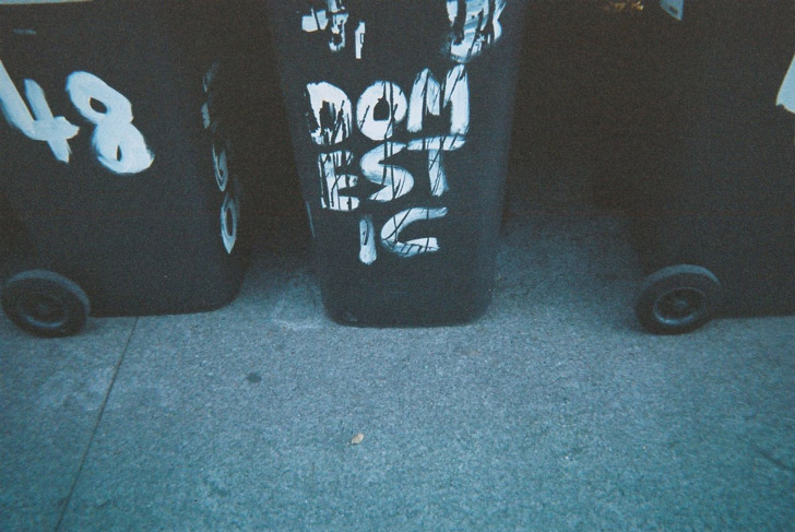 Cover image, Domestic Enemy