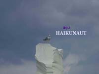 Cordite 29.1 Haikunaut
