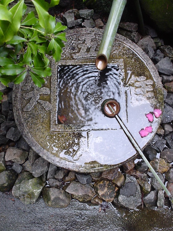 Image by Keiji Minato